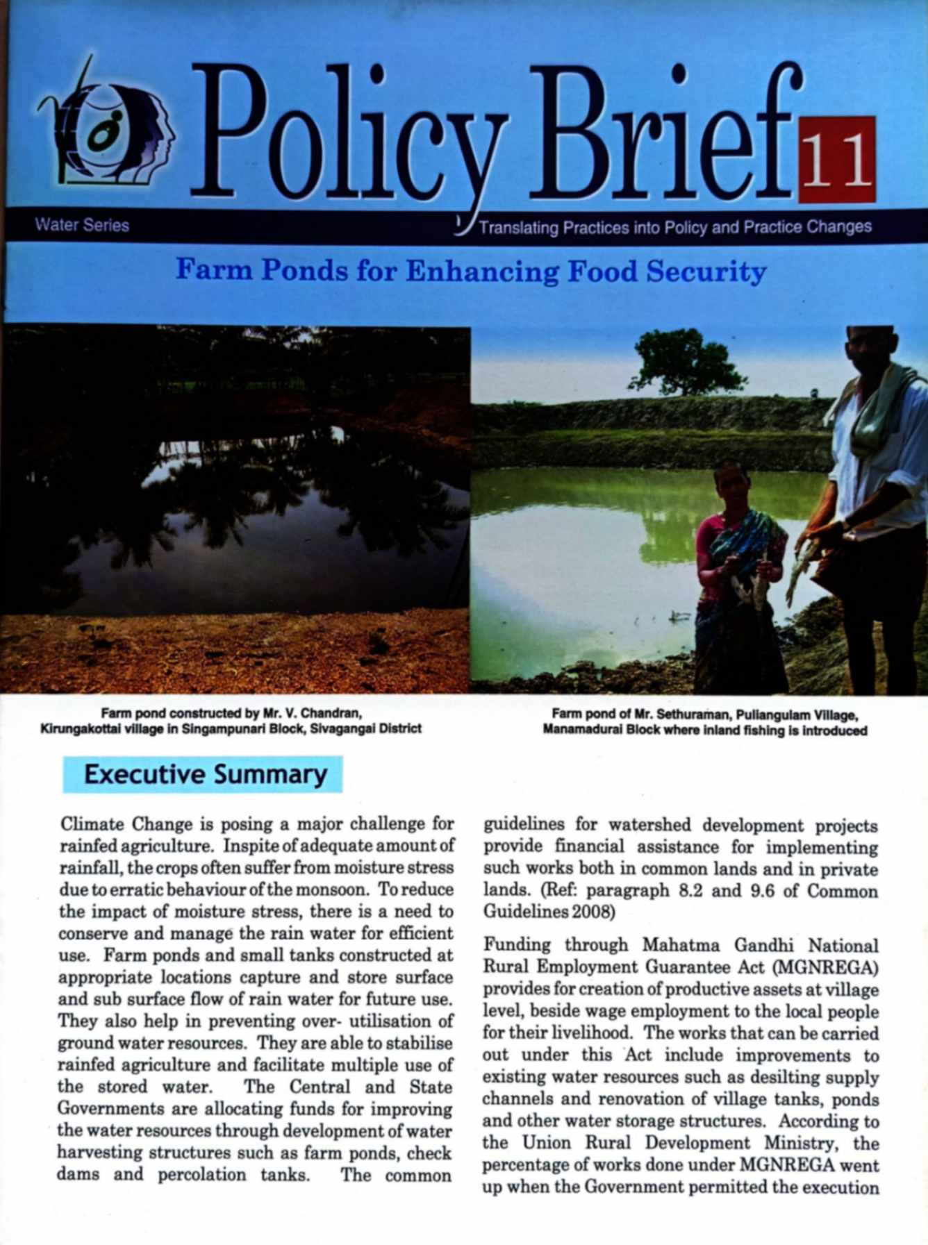 Policy brief