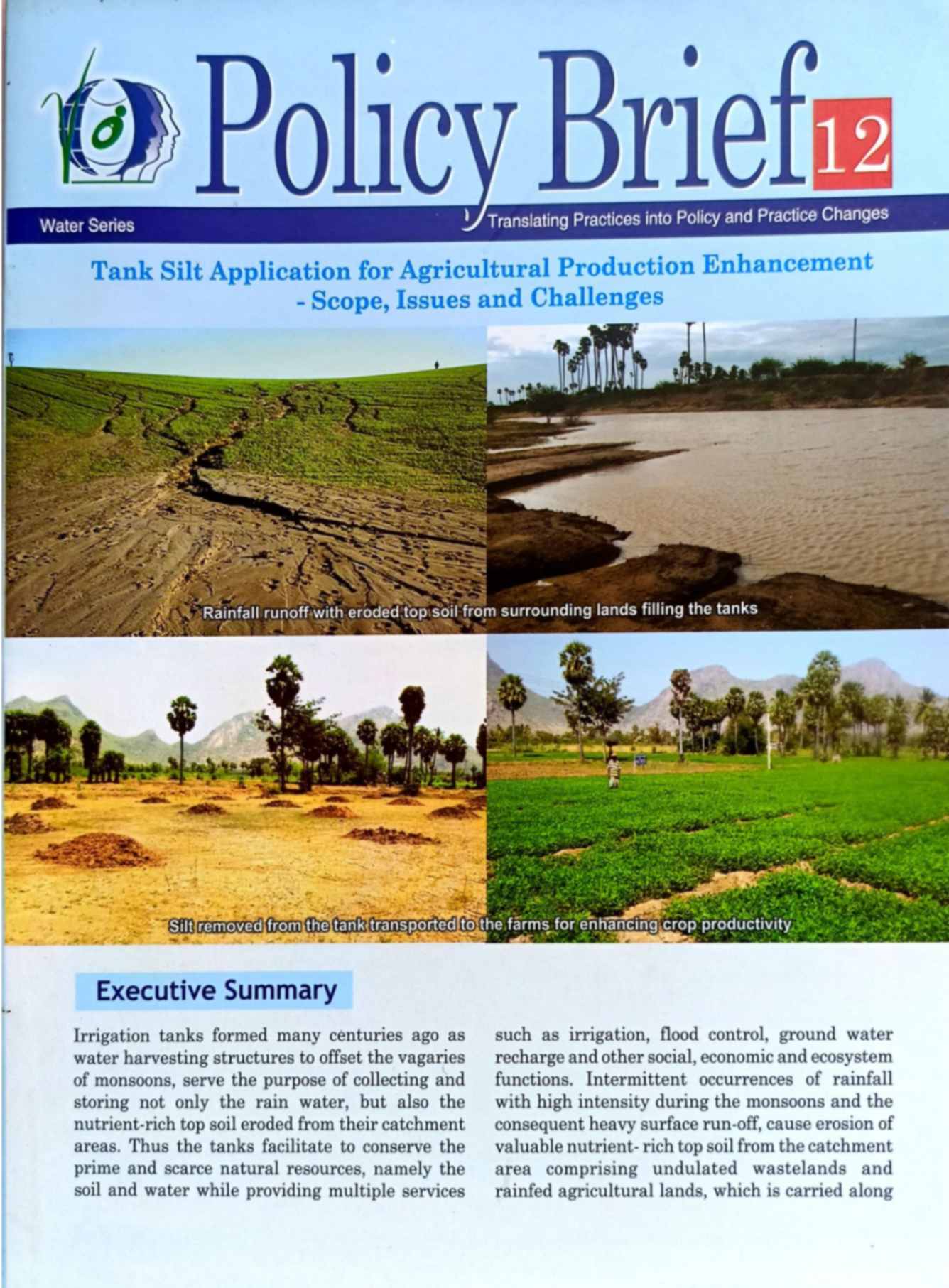 Policy brief