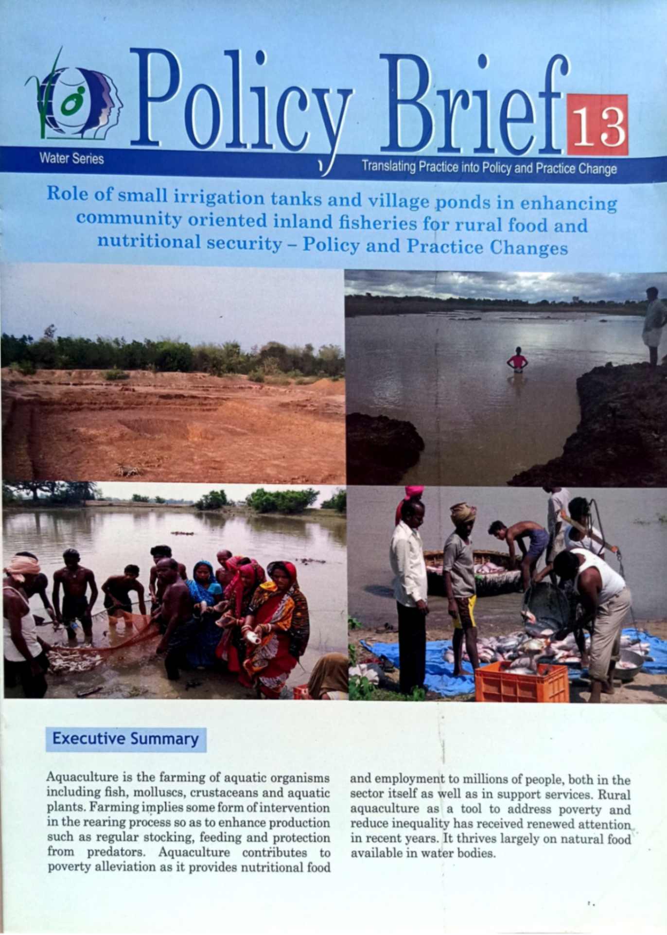 Policy brief