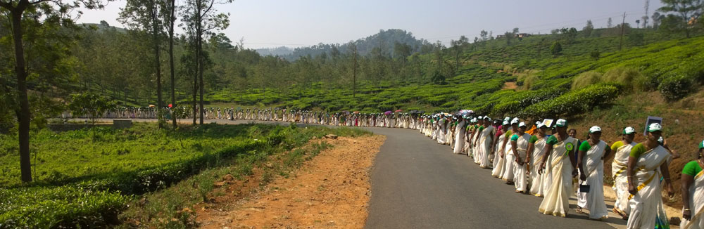 Green & Clean Environment