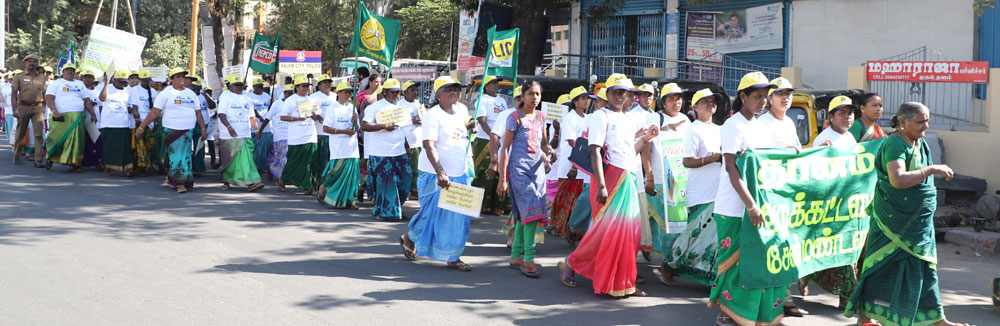 Green & Clean Environment