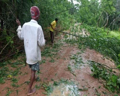covid 19 DHAN Foundation