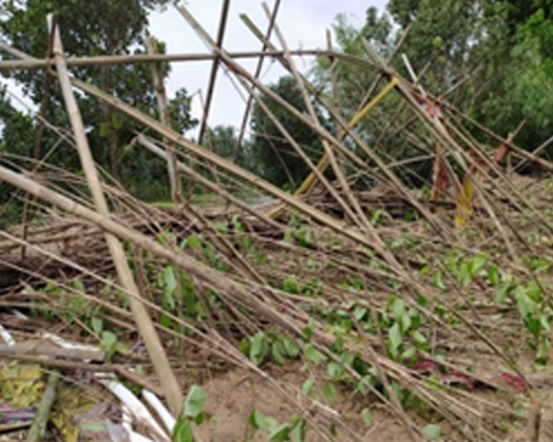 covid 19 DHAN Foundation