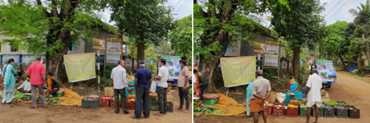 covid 19 DHAN Foundation