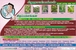 posters: image 21 0f 23 thumb