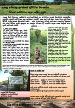 posters: image 1 0f 6 thumb