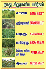 posters: image 15 0f 23 thumb