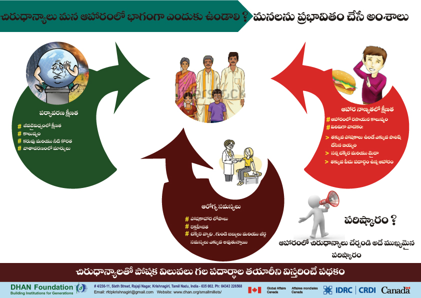 small millets images