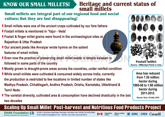 small millets images