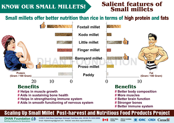 small millets images