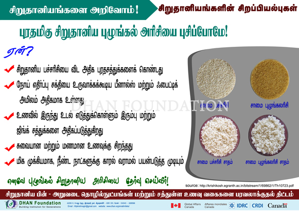 small millets images