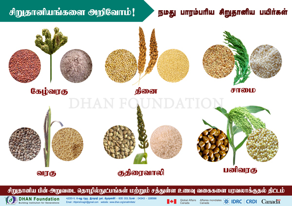 small millets images