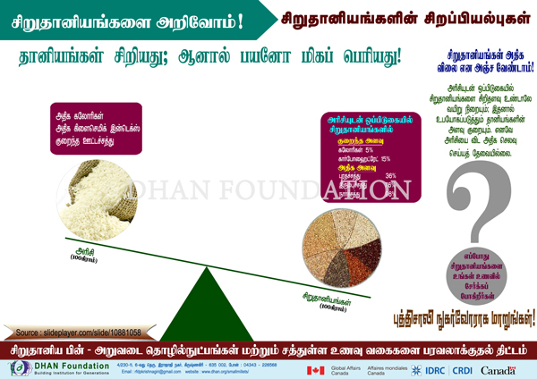 small millets images